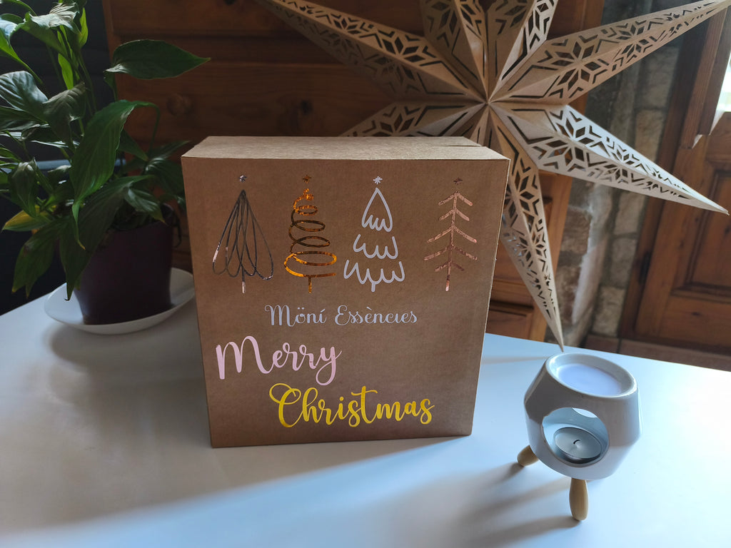 Calendario de Adviento 24 Wax Melts Artesanales · Möní Essències